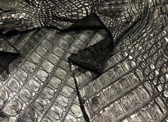 Crocodile Leather Collection Black