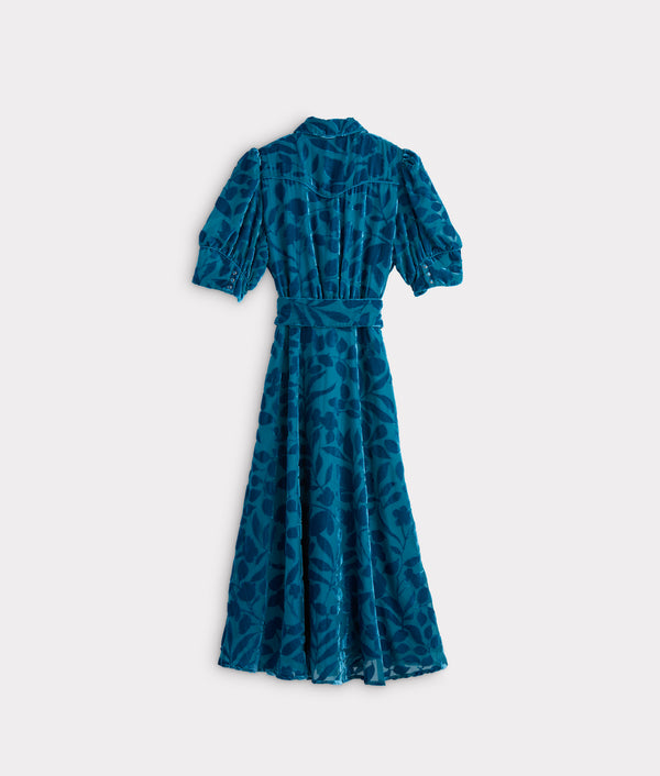 Avery Velvet Dress