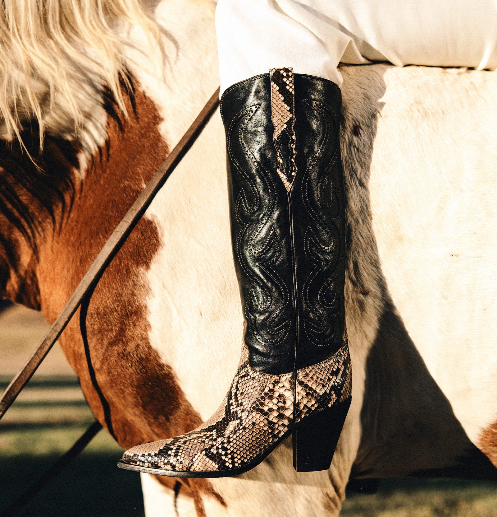 featured_collection_mobile_image