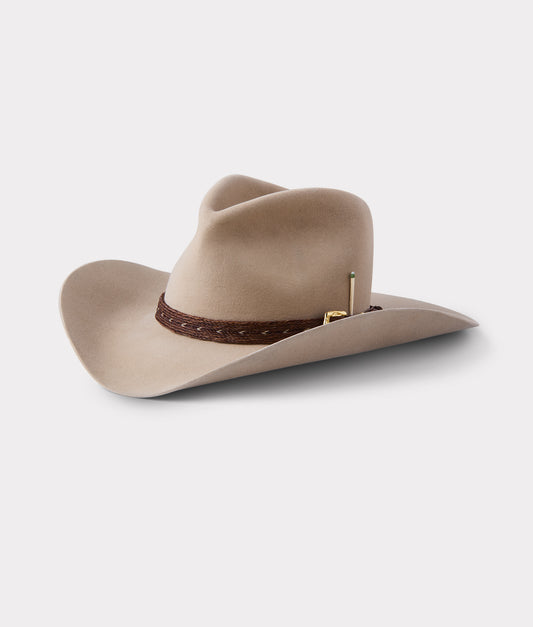 Palomino Holy Paw :: Sahara