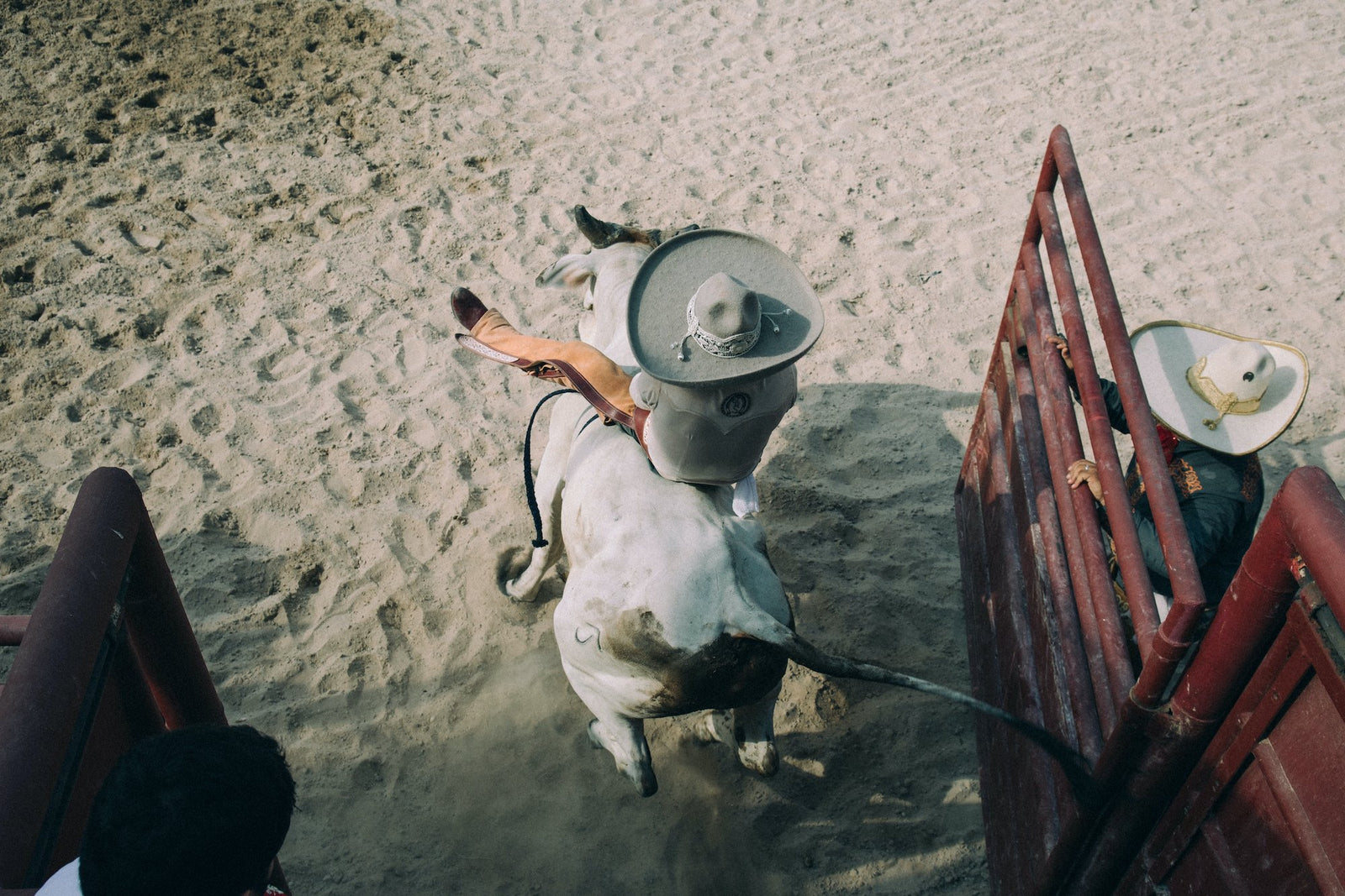 Charreria: The Mexican Sport