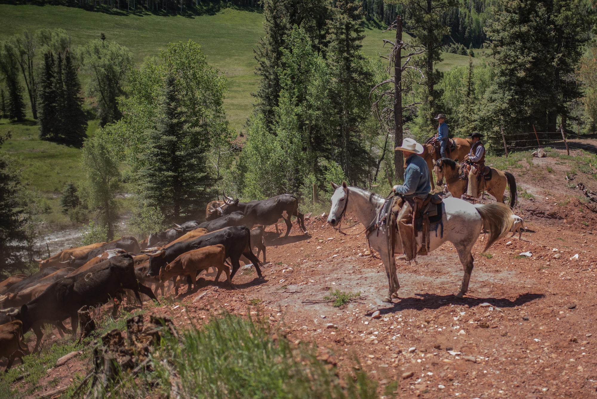 The Changing World of Modern Ranching