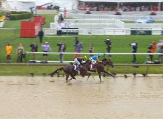 American Pharoah: A Cinderella Story