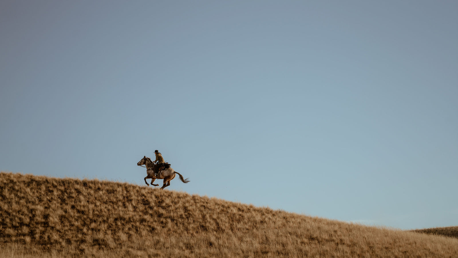 Nicole Zuelke's #mylucchese Life