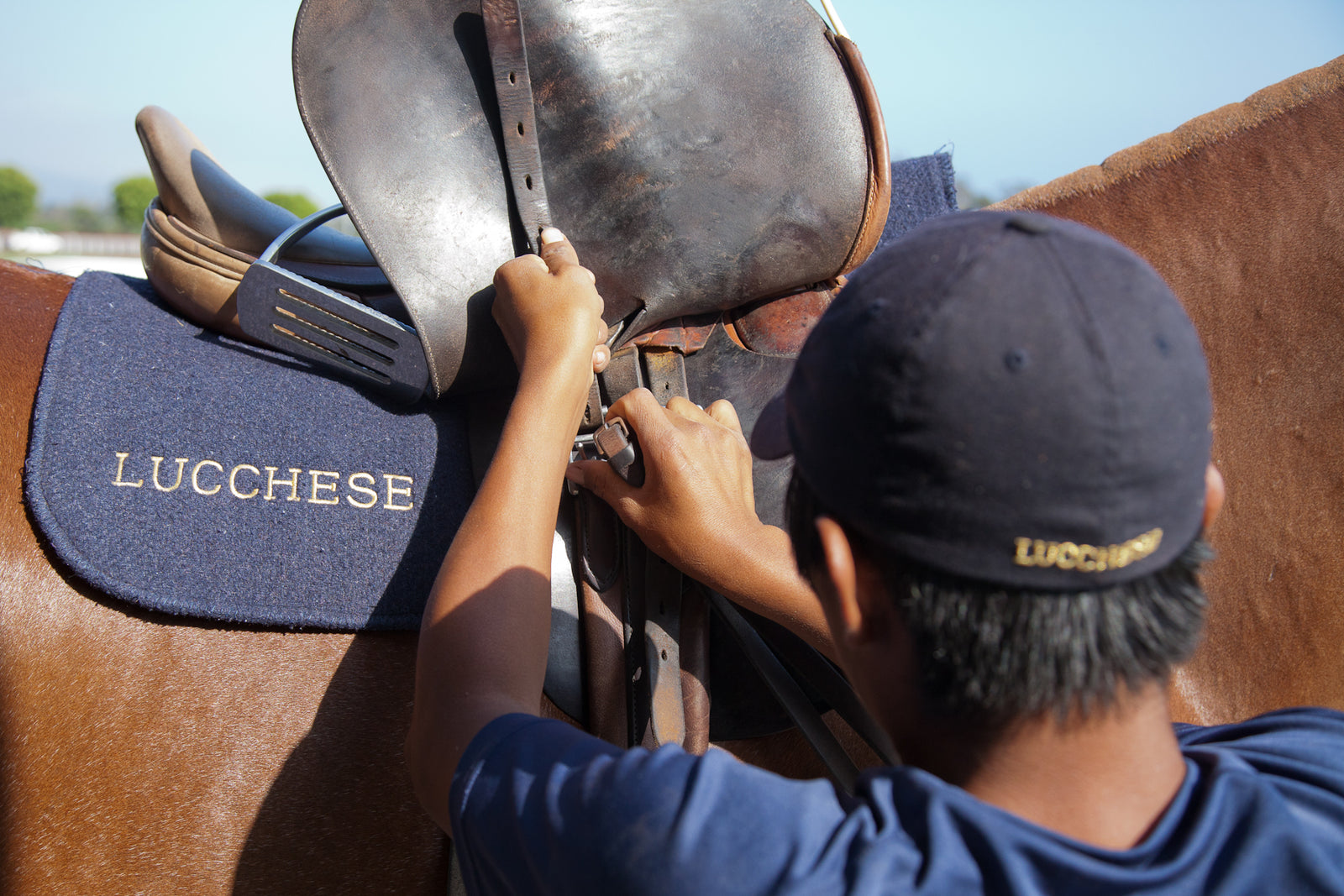 Lucchese clinches win in Joe Barry Memorial Cup