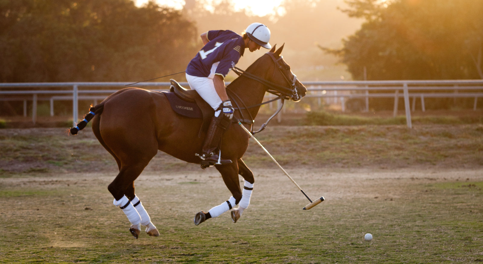 Lucchese goes 2-0 in Joe Barry Memorial Cup