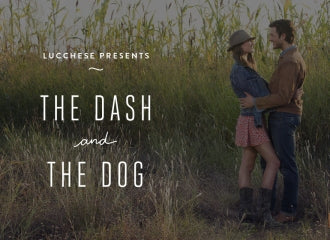 The Dash & the Dog