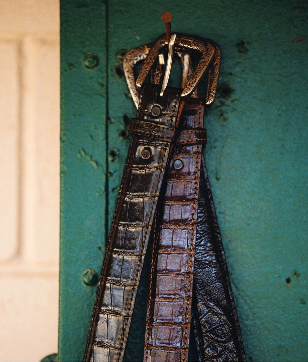 Ultra Belly Caiman :: Black 6