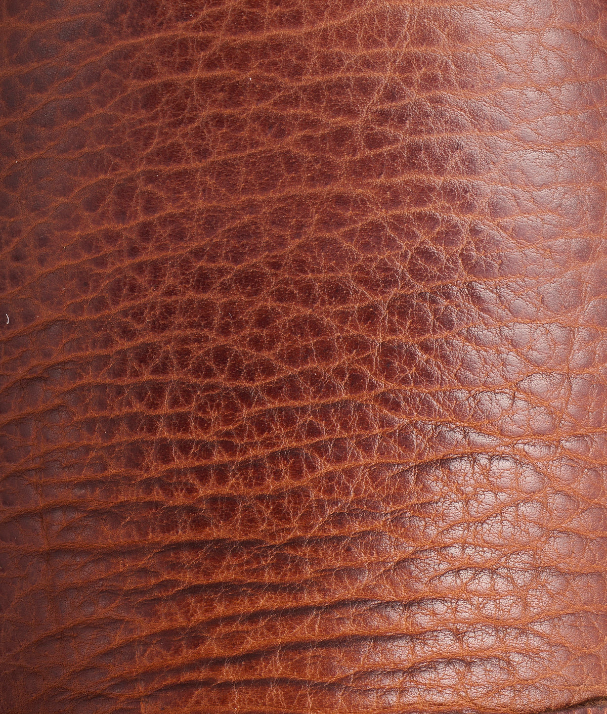 6" Lace Up Derby Boot :: Whiskey 6