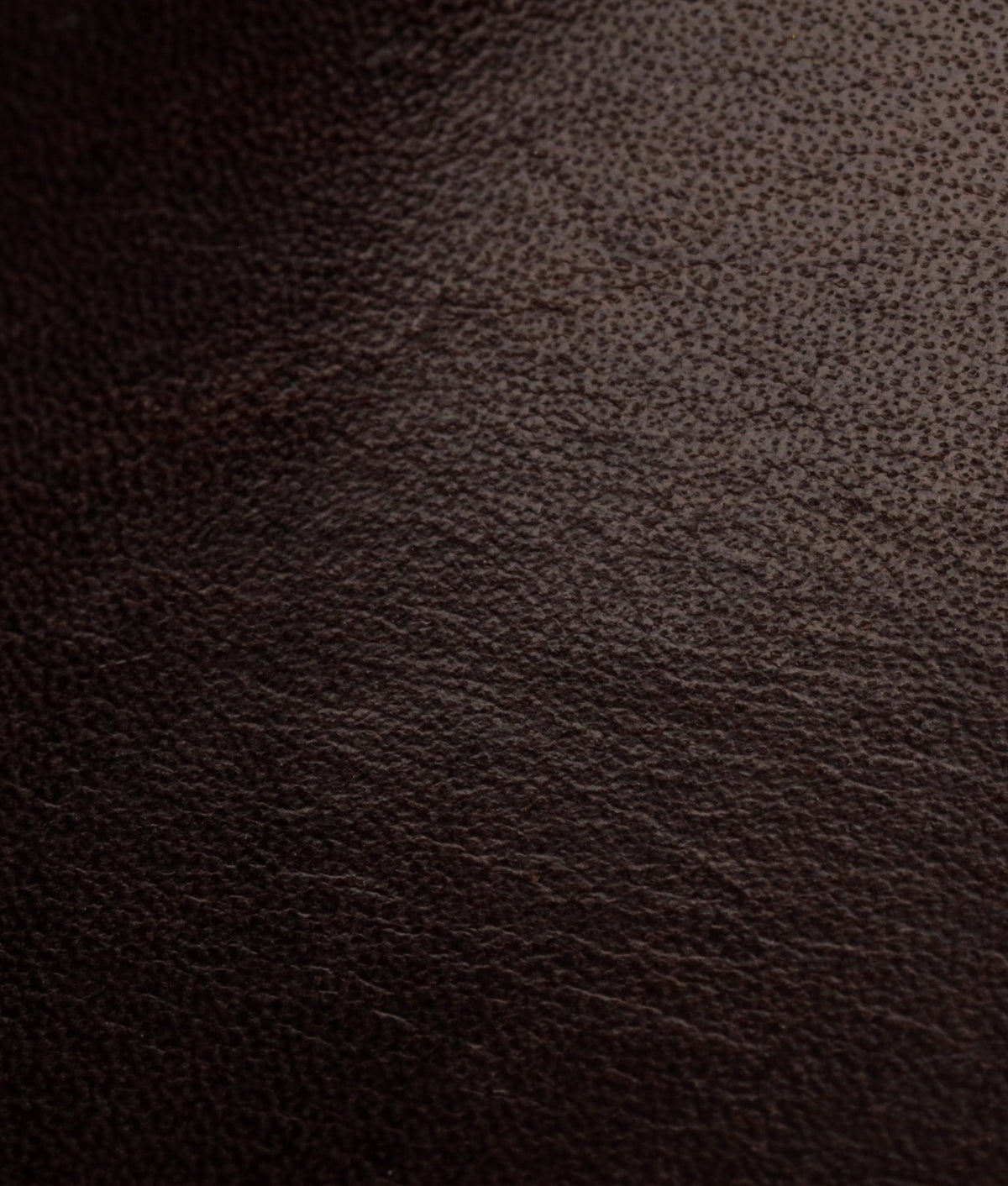 Ranger II Hiking Boot :: Chocolate 7