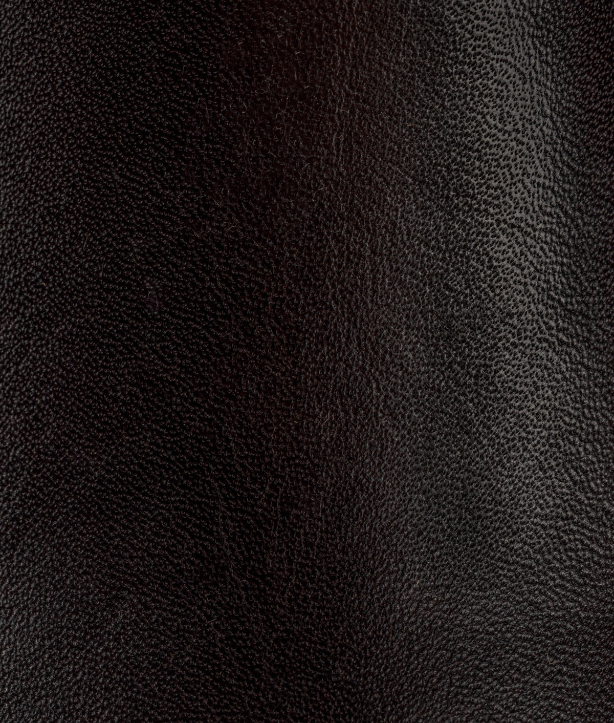 Ranger II Pull On Boot :: Chocolate 9