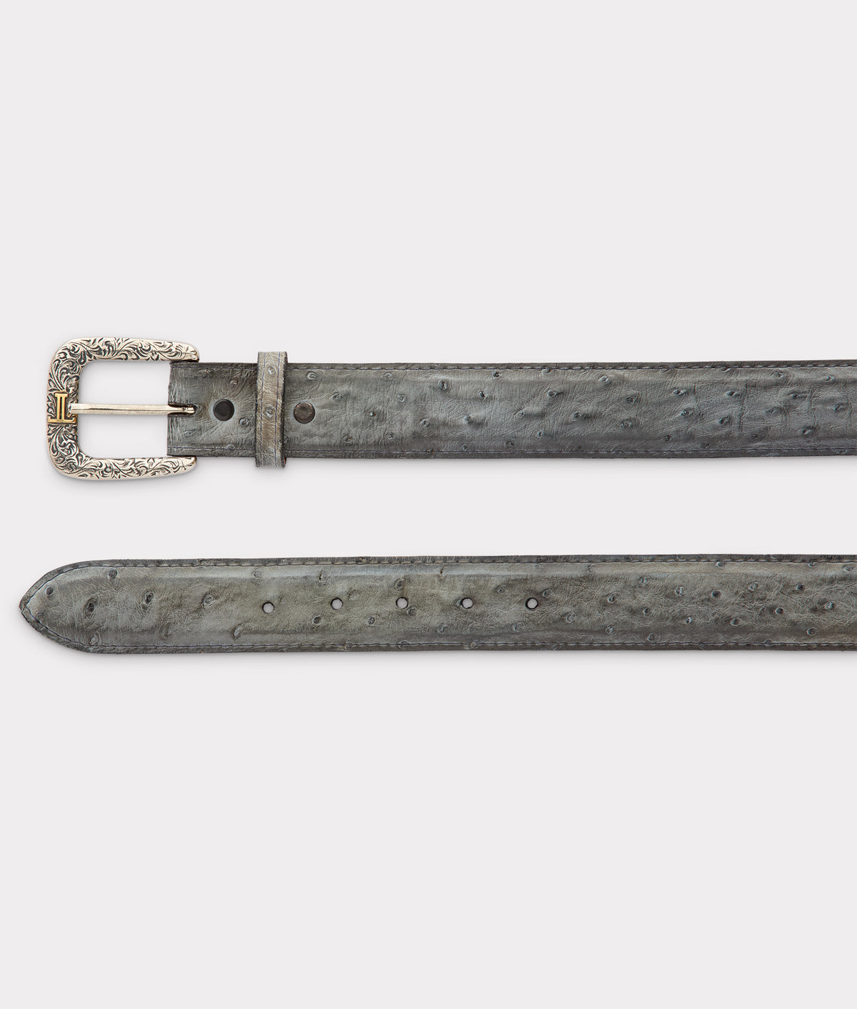 Full Quill Ostrich :: Anthracite Grey 2