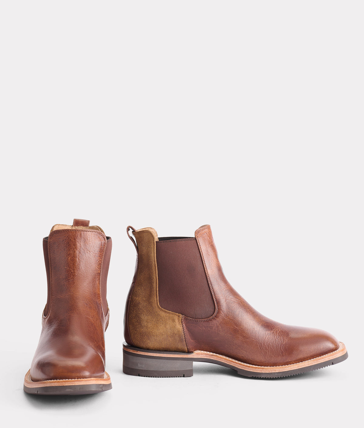 Rex :: Cognac 2