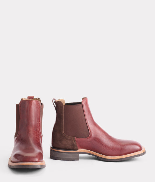 Rex :: Black Cherry
