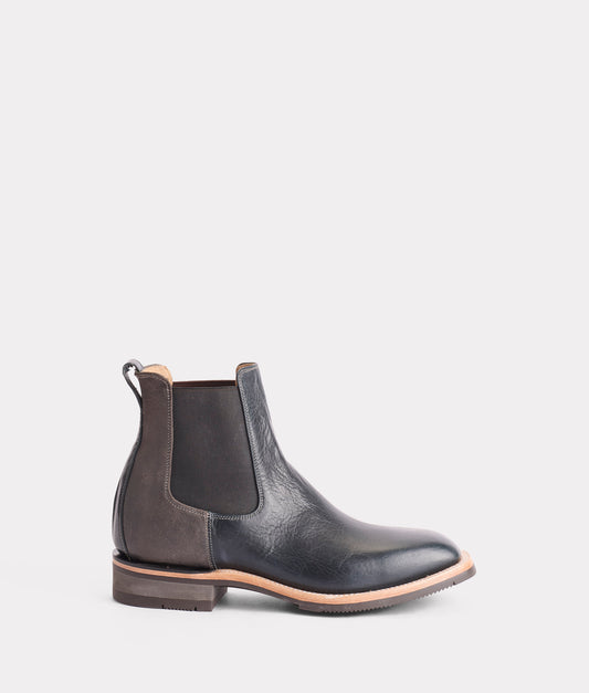 Rex :: Navy