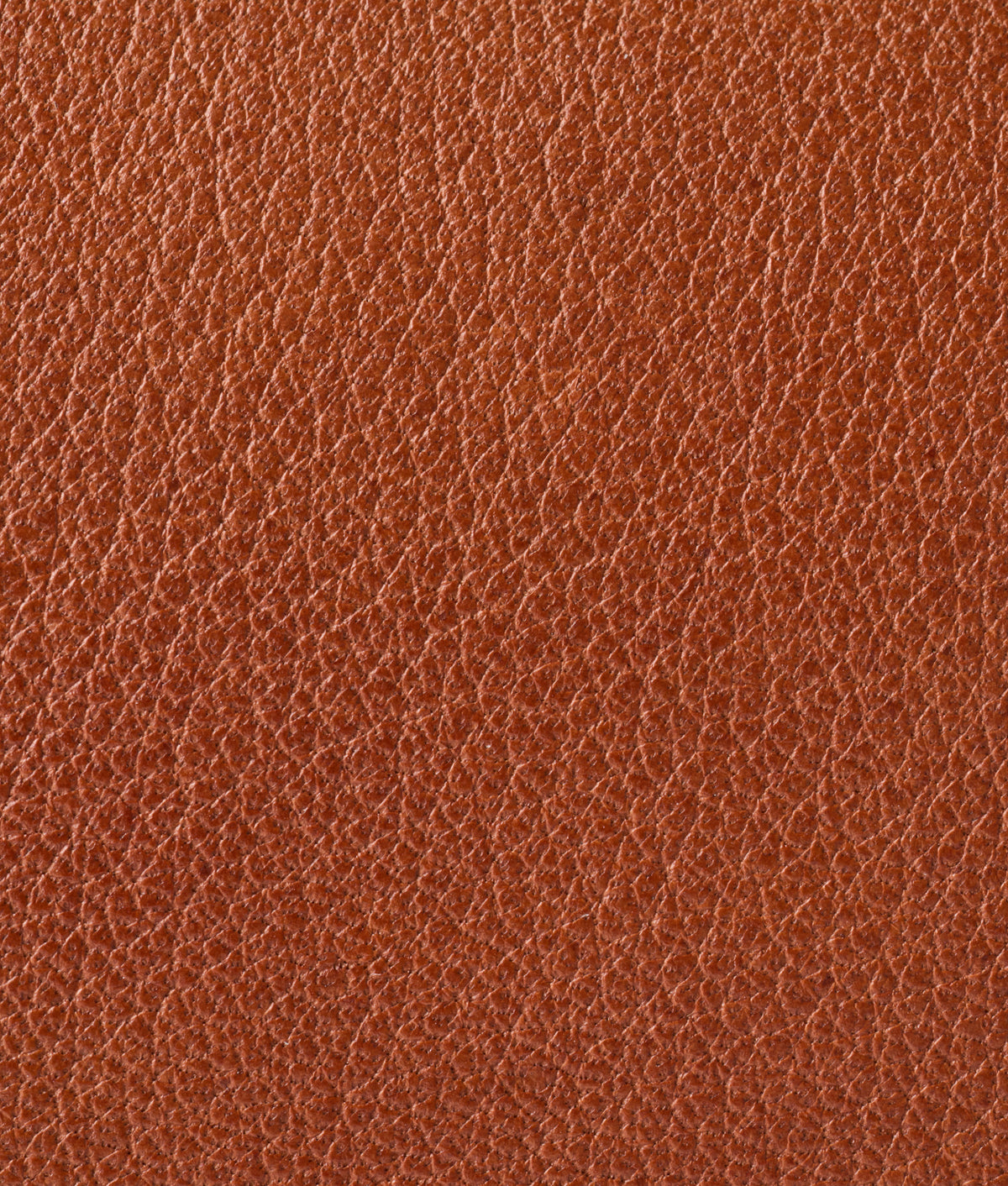 Bridget Long Wallet On A Chain :: Brown 8