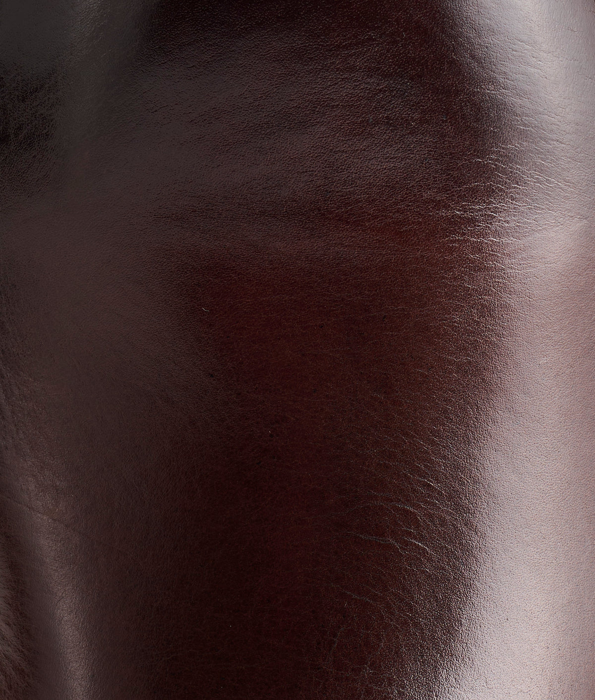 Maestro :: Cognac 8