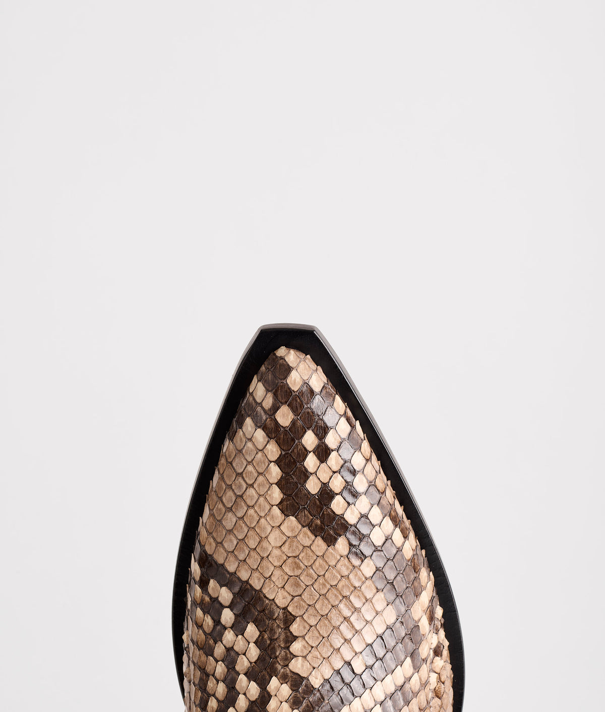 Vittoria :: Black/White 8