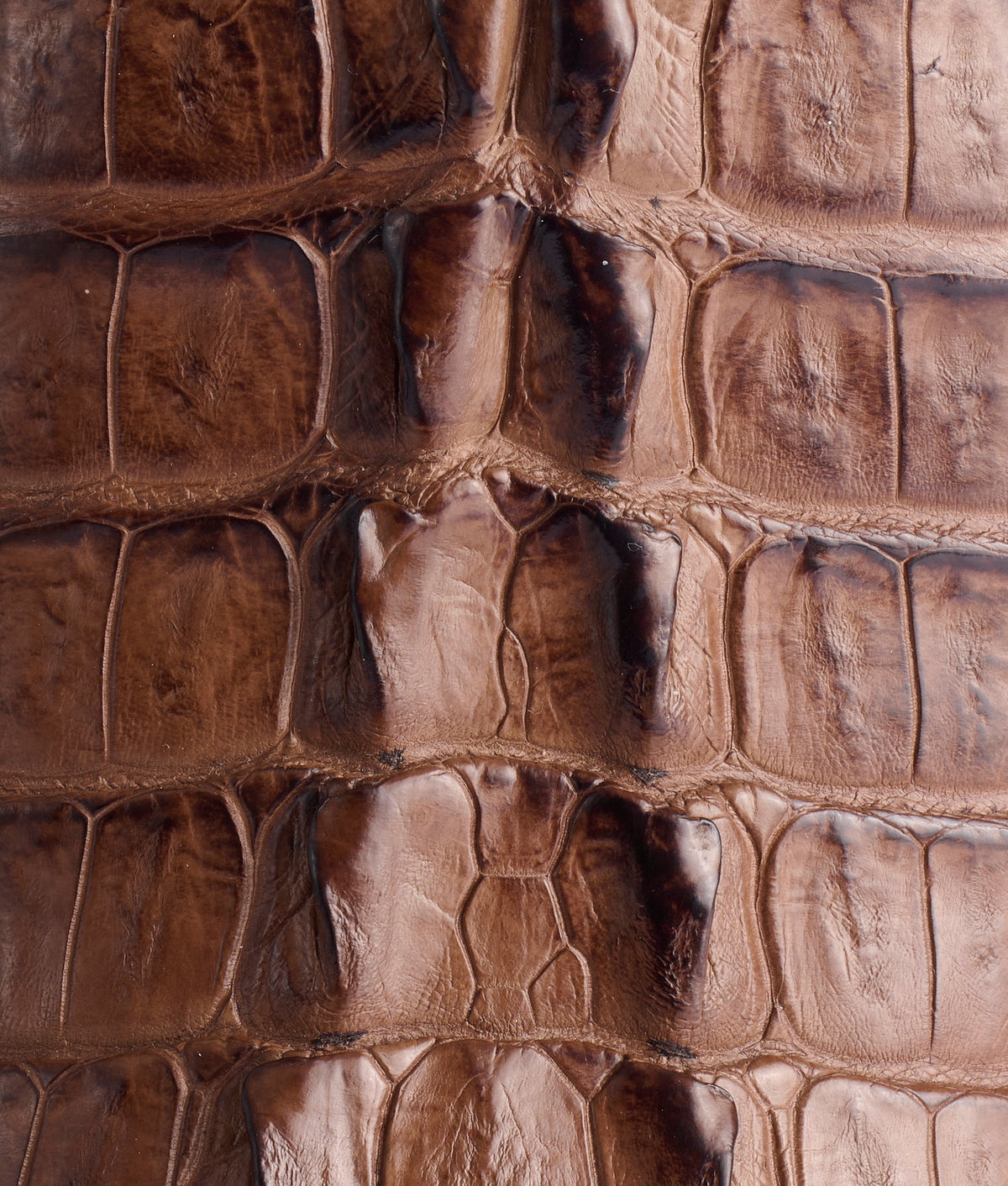 Haan :: Tan + Chocolate 8