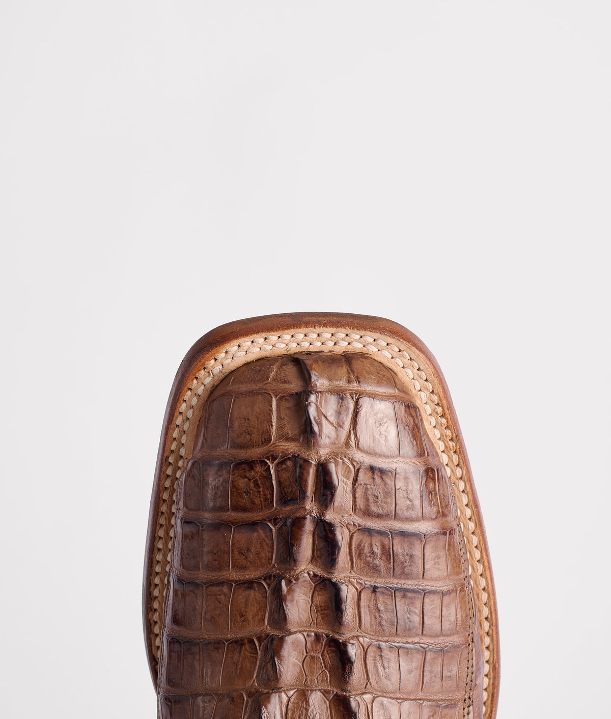 Haan :: Tan + Chocolate 7