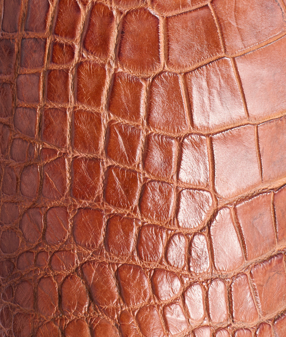 Roy :: Brown + Tan 8