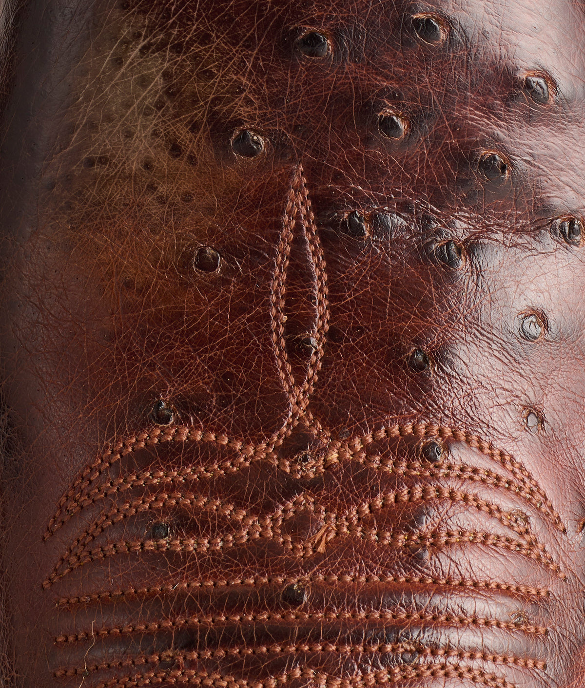 Cecil Exotic :: Sienna/Brown 7
