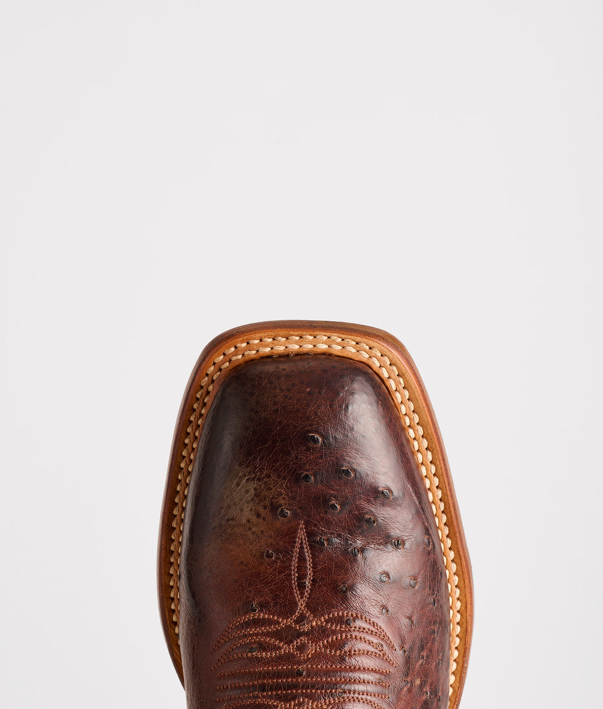 Cecil Exotic :: Sienna/Brown 6