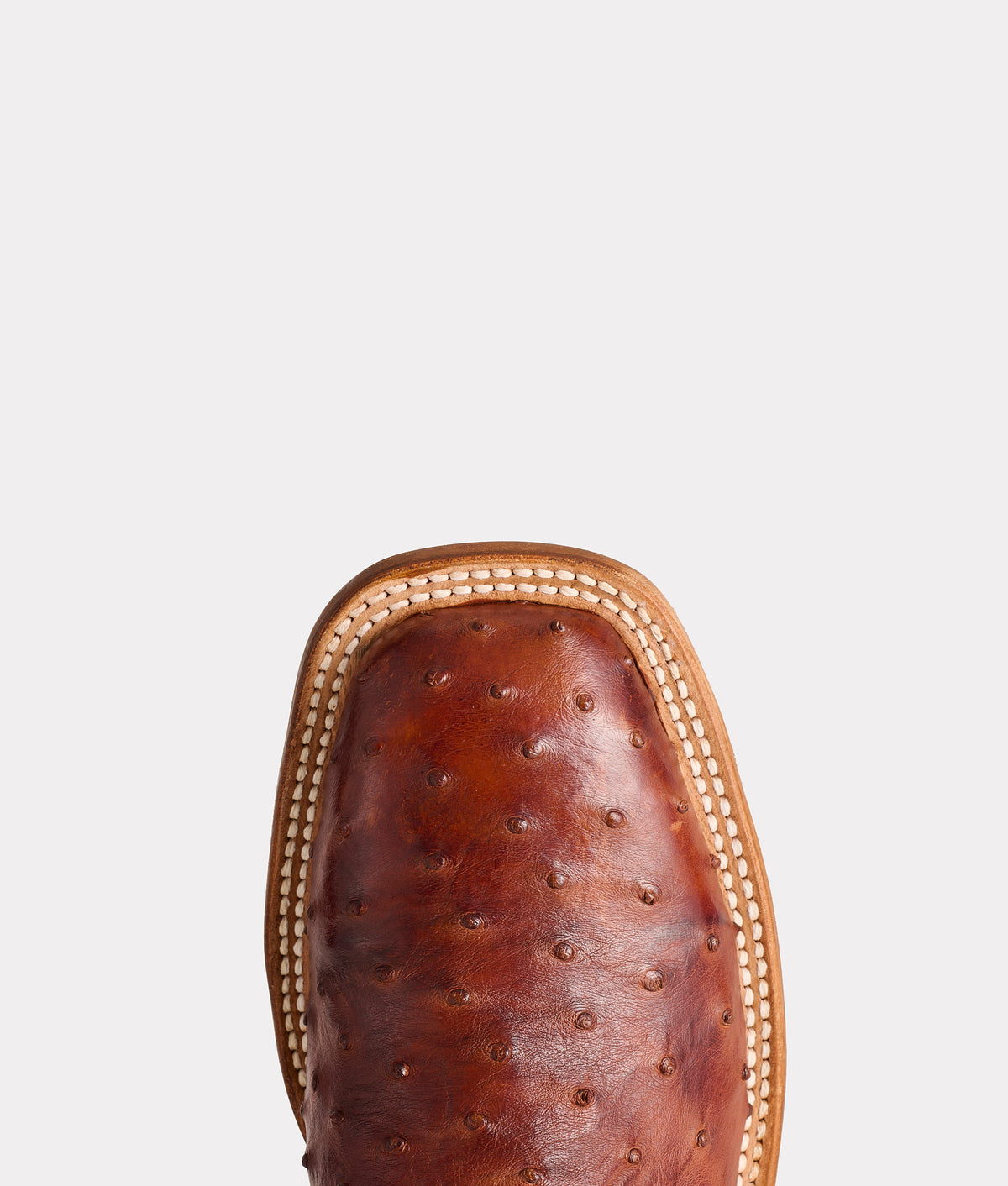 Cliff :: Chocolate + Tan 10