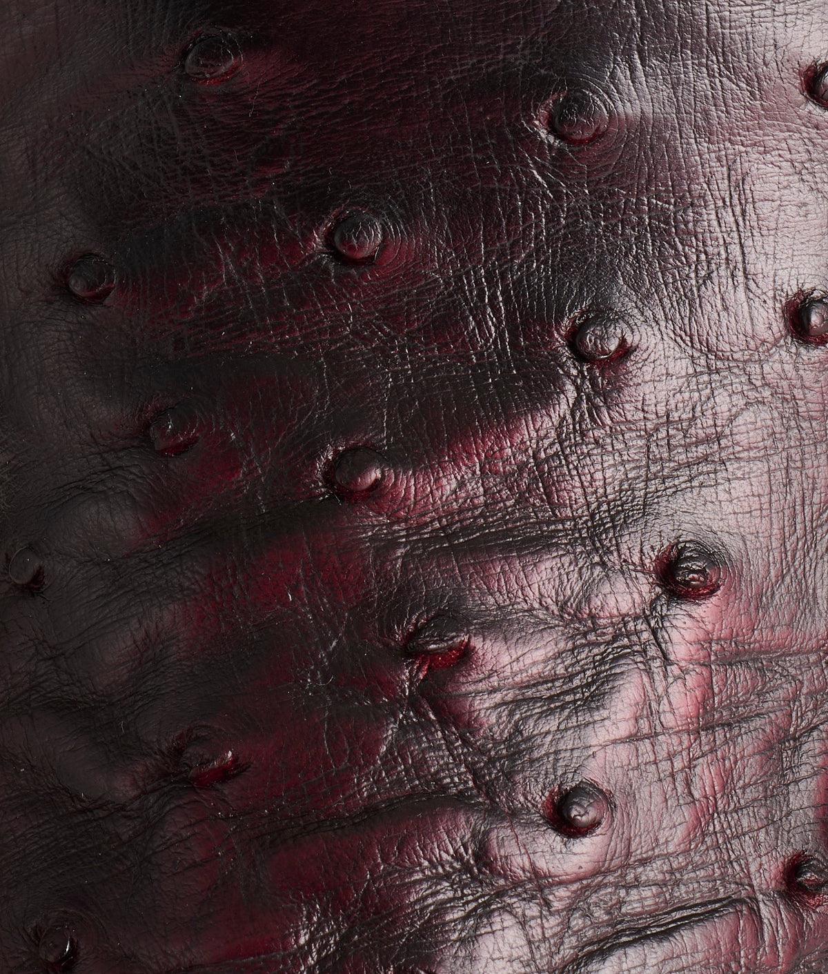 Cliff :: Black Cherry + Black 7