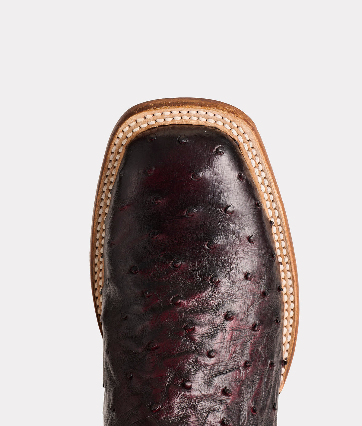 Cliff :: Black Cherry + Black 6