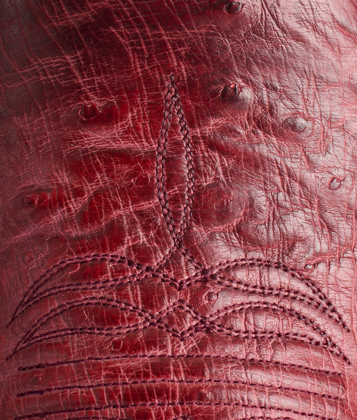 Cecil Exotic :: Black Cherry 7