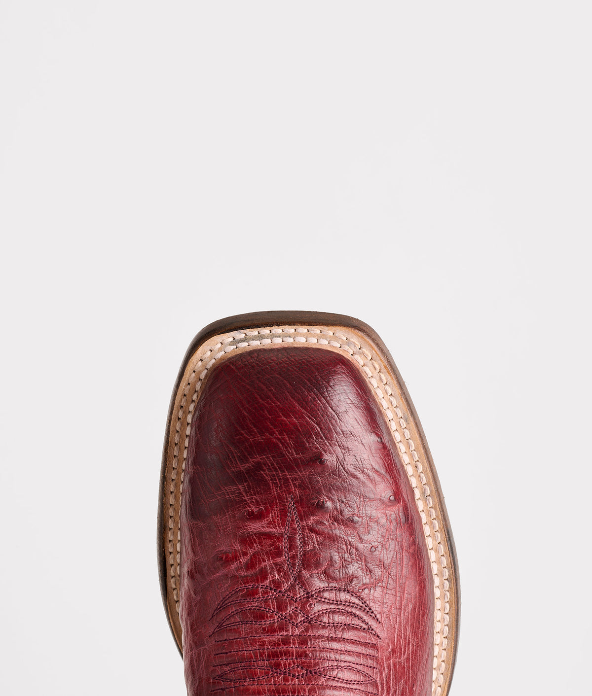 Cecil Exotic :: Black Cherry 6