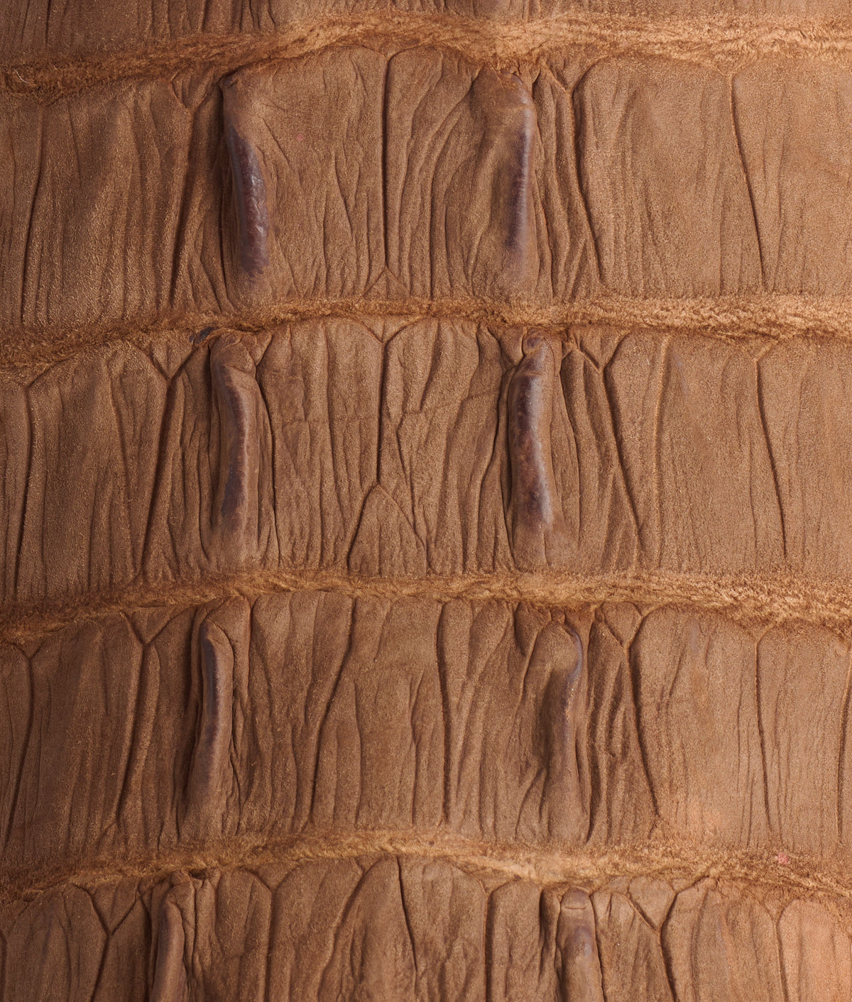 Hwy 285 Horseman :: Brandy 10