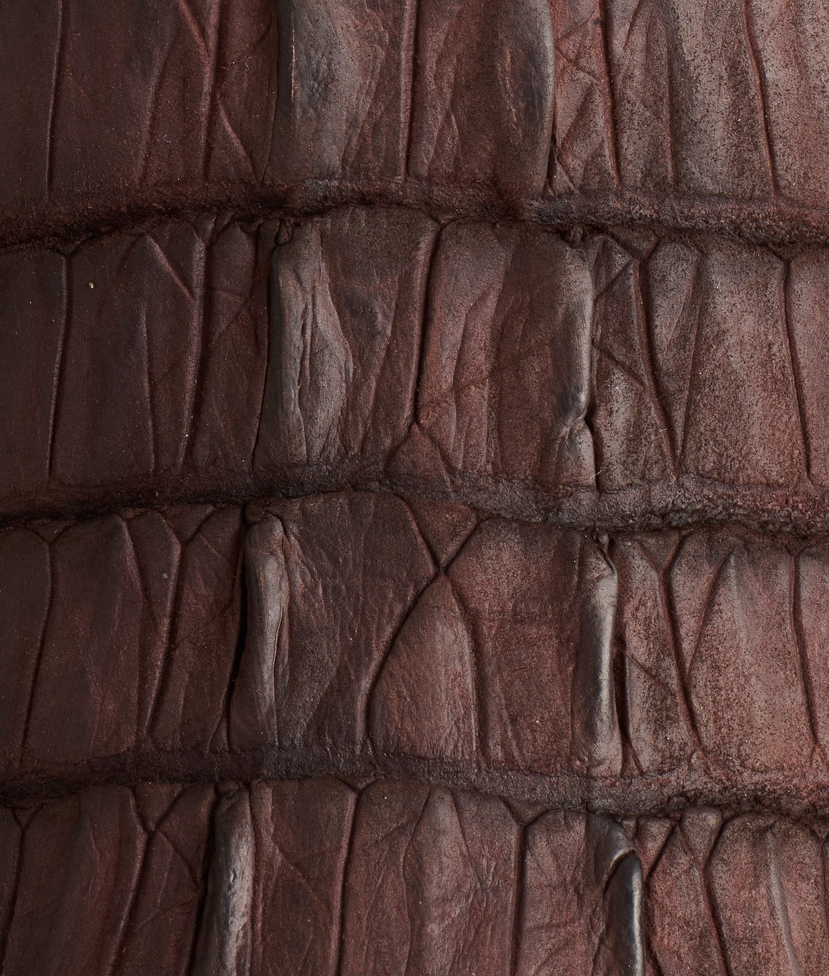 Hwy 285 Horseman :: Espresso 10