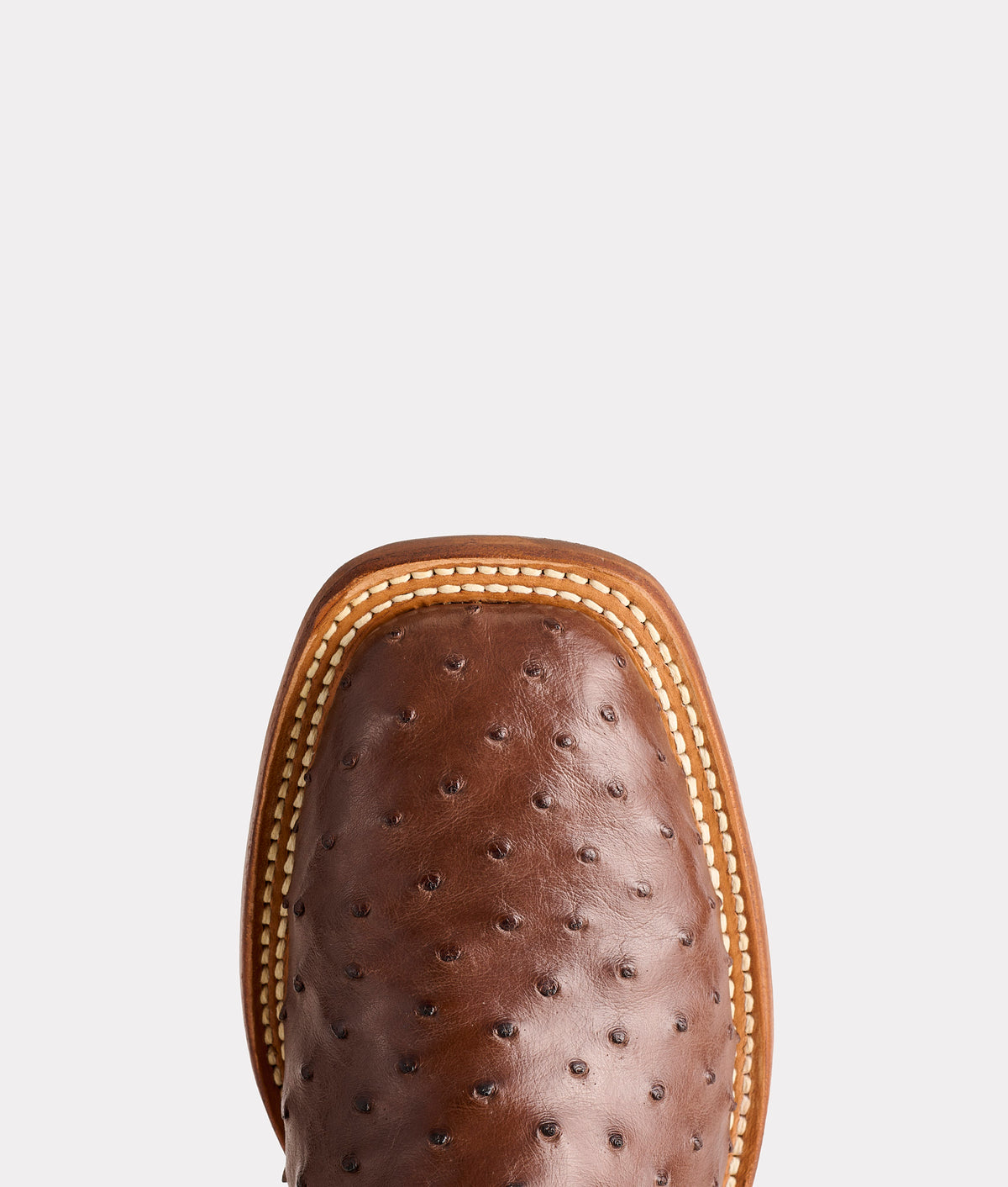 The Caller :: Sienna 8