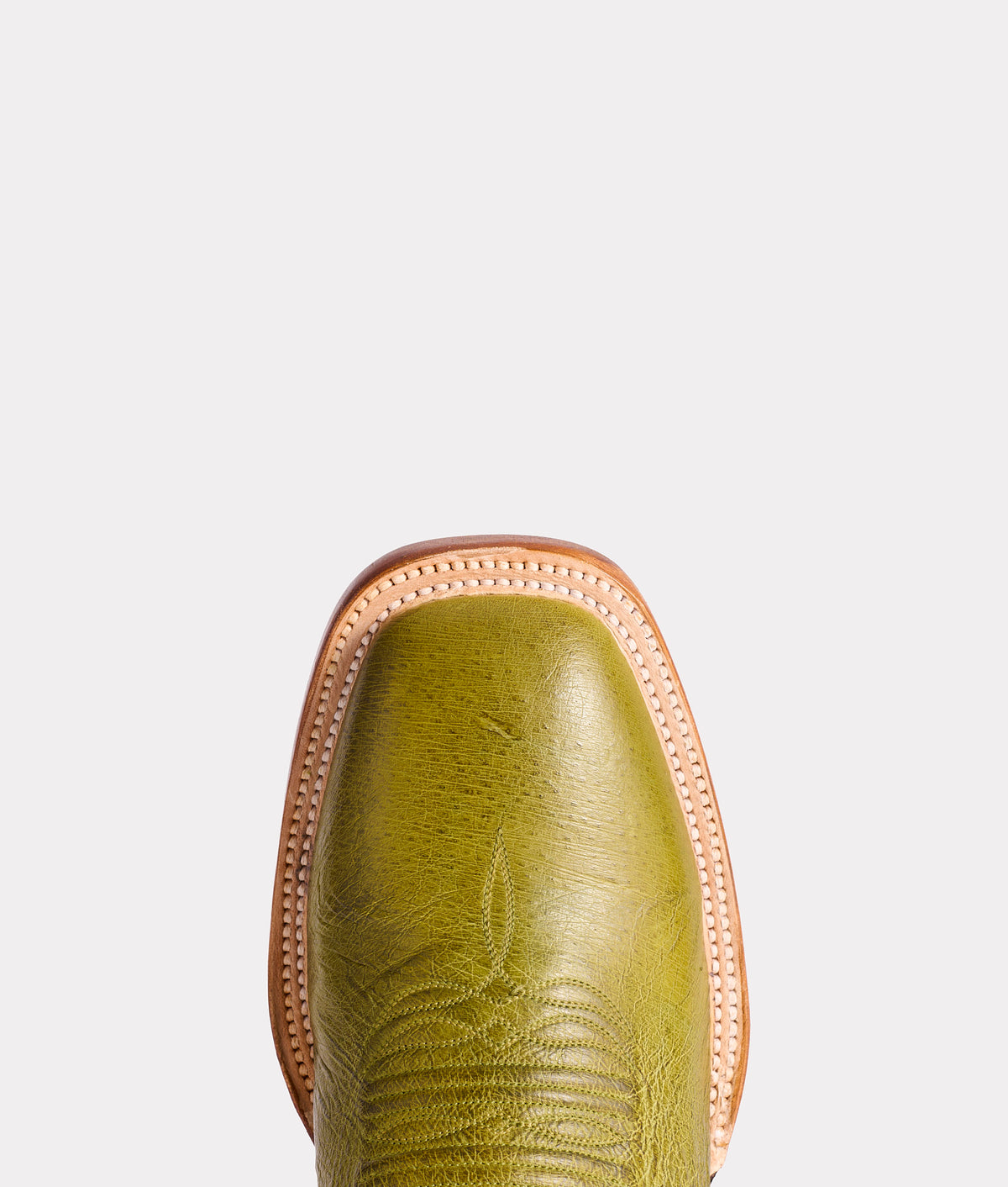 Cecil Exotic :: Fern 7