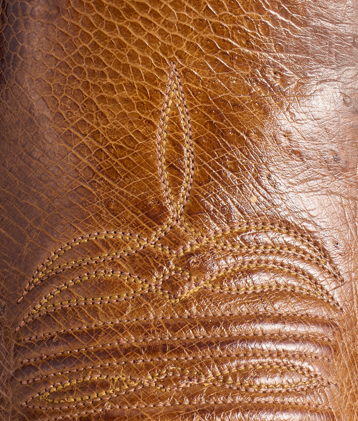 Cecil Exotic :: Sienna 8