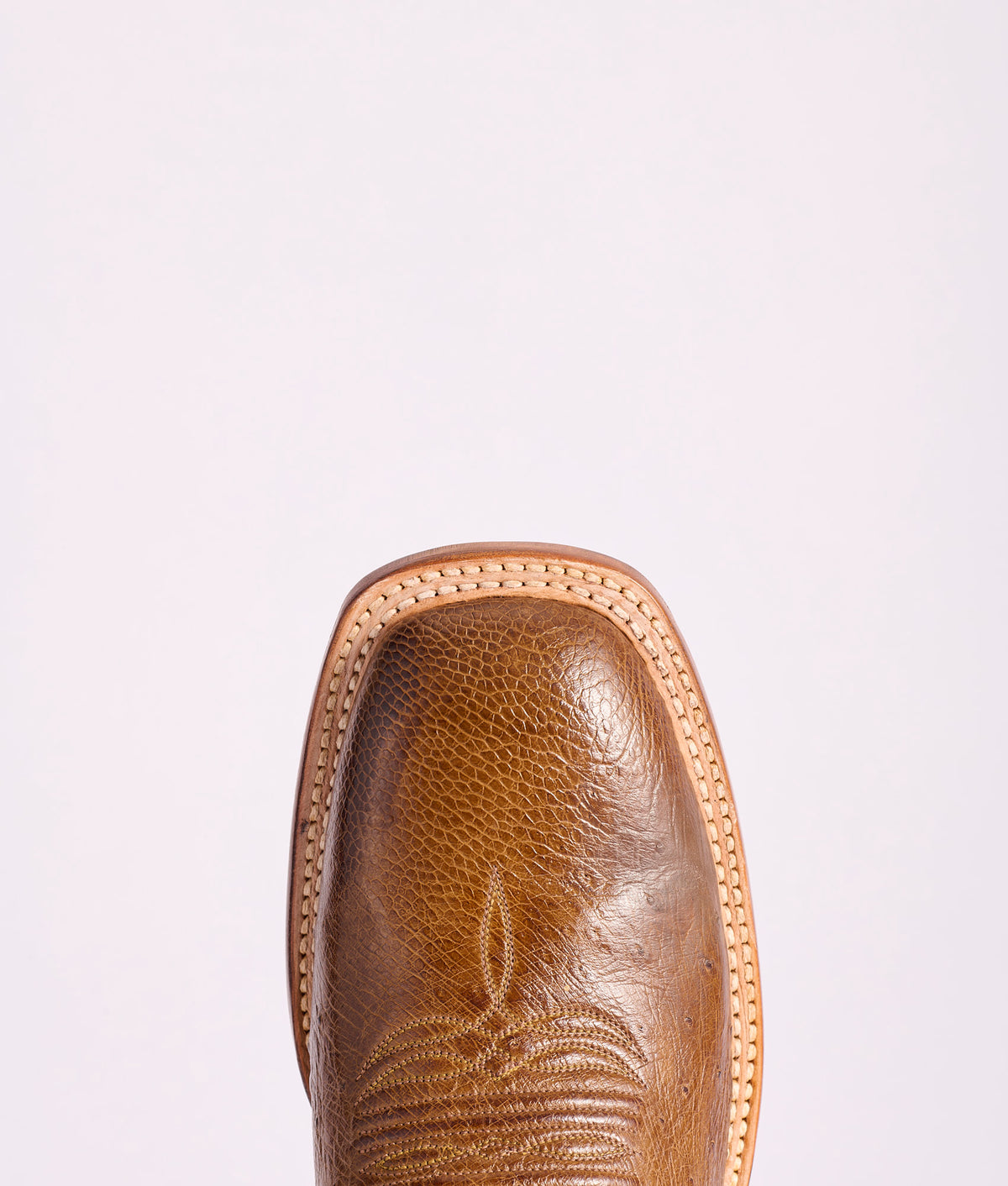 Cecil Exotic :: Sienna 7