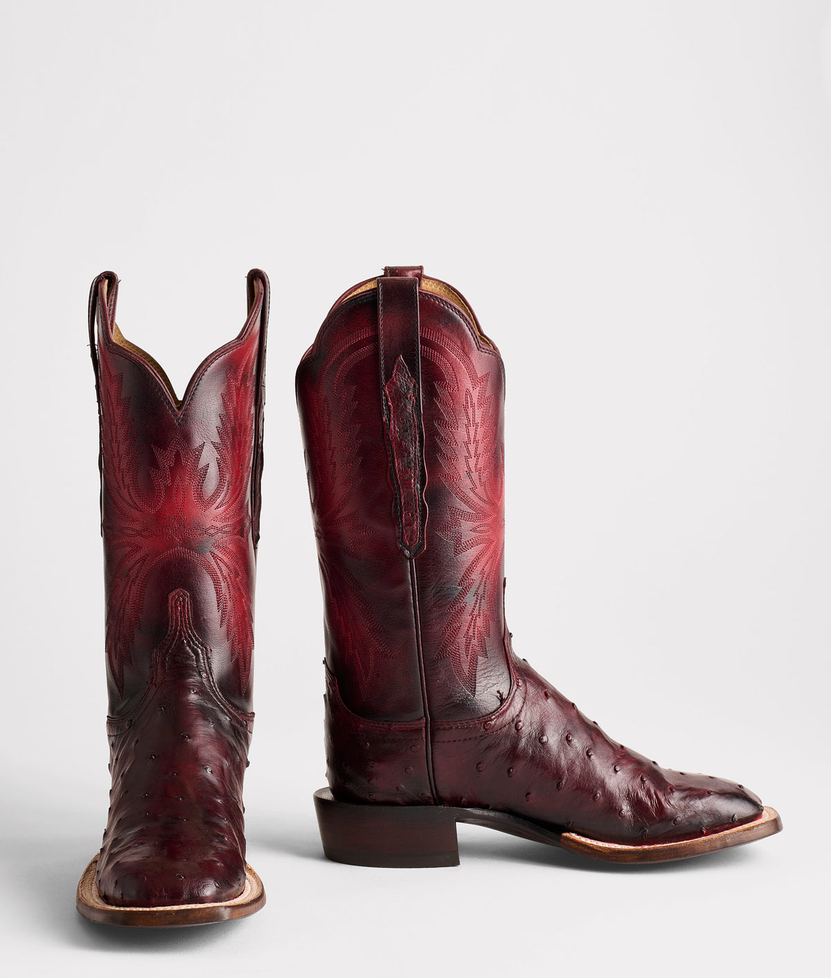 Josephine Horseman :: Antique Black Cherry 2