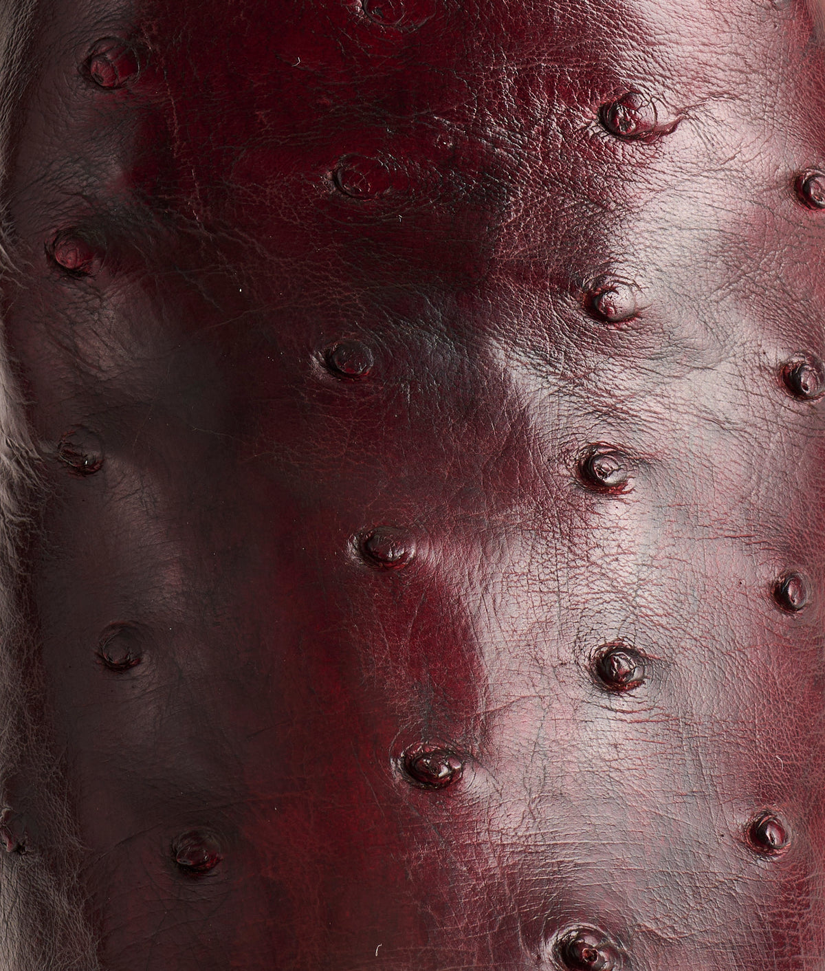 Josephine Horseman :: Antique Black Cherry 7