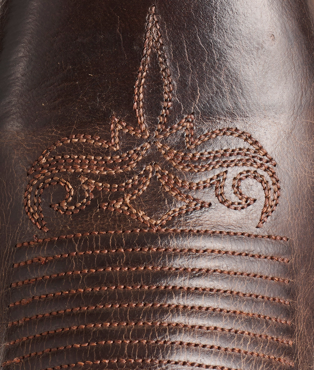 Savannah Horseman :: Chocolate 8