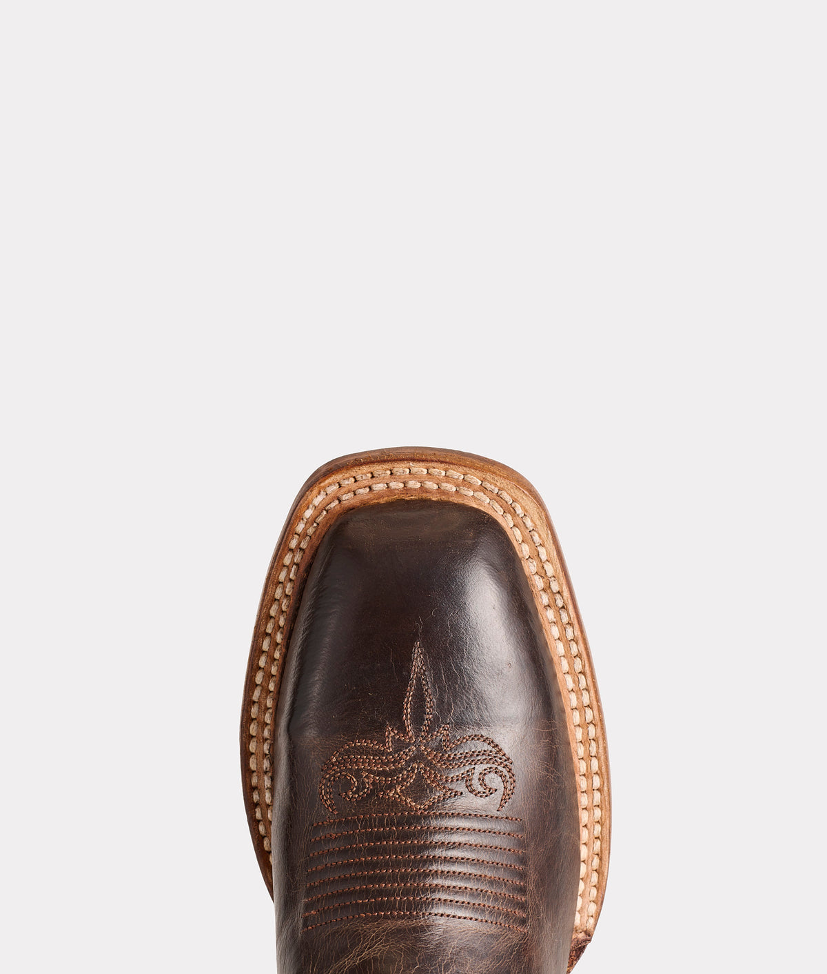 Savannah Horseman :: Chocolate 7