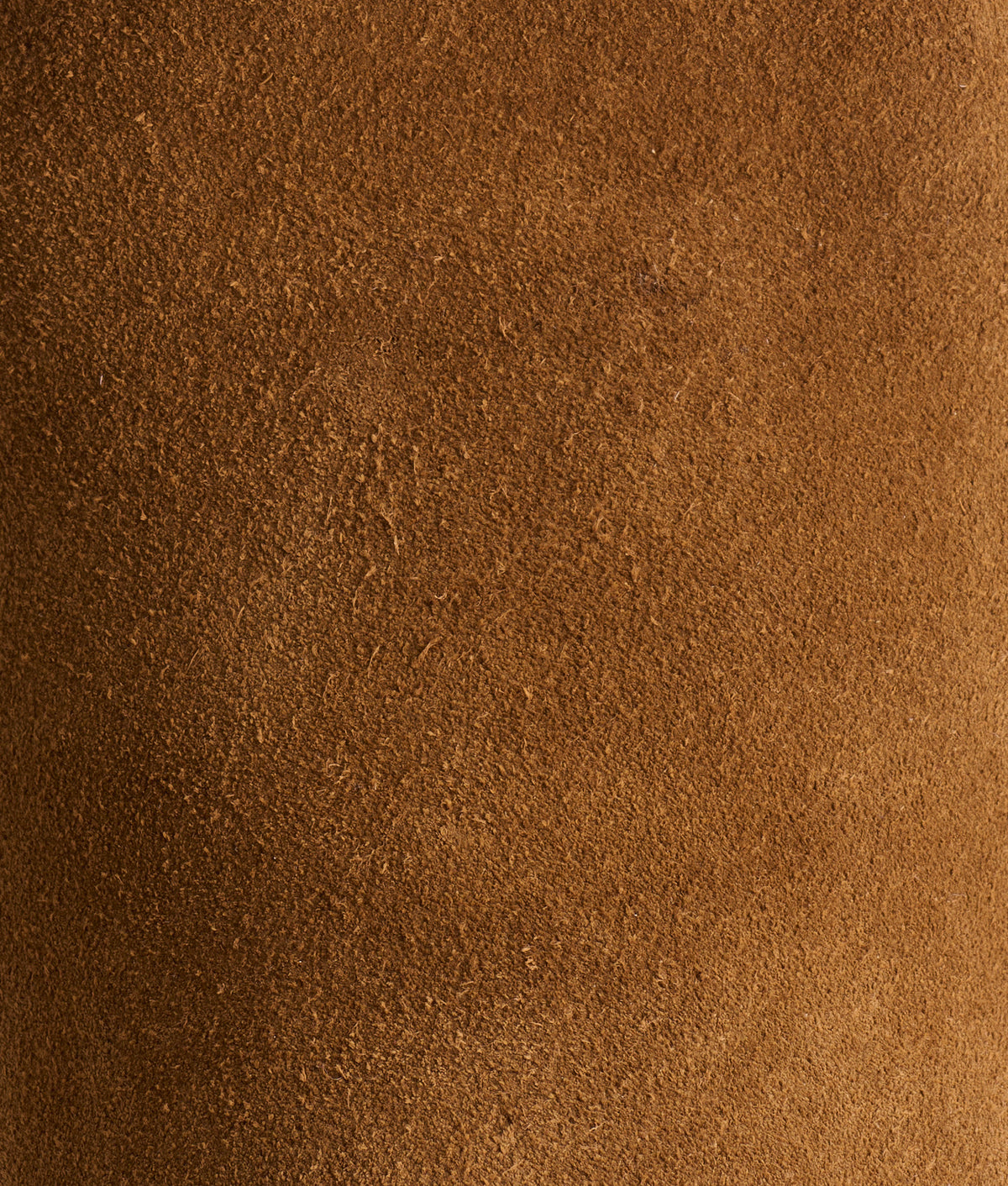 Old Friend :: Espresso 7