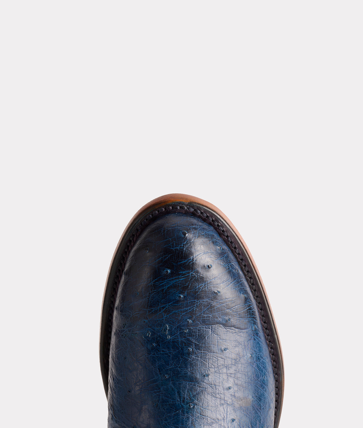 Sunset Exotic :: Navy 6