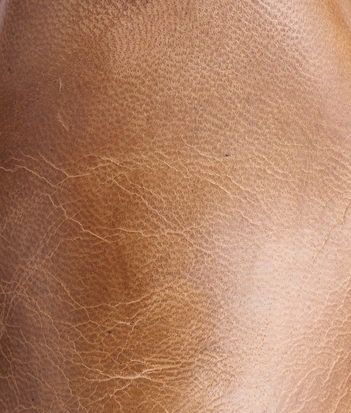 Sunset Roper :: Pearl Bone 8