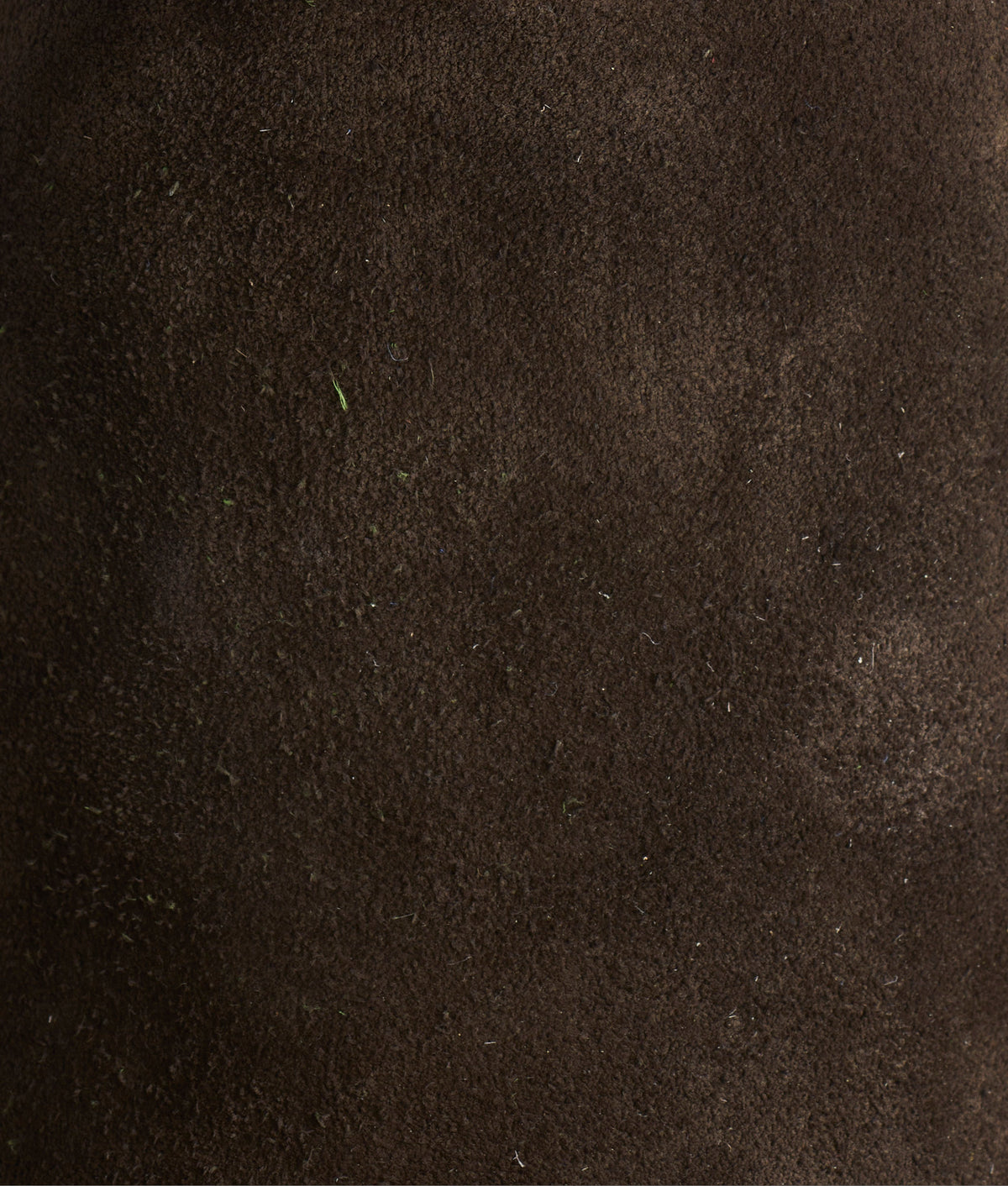 Stead :: Olive + Leaf 7