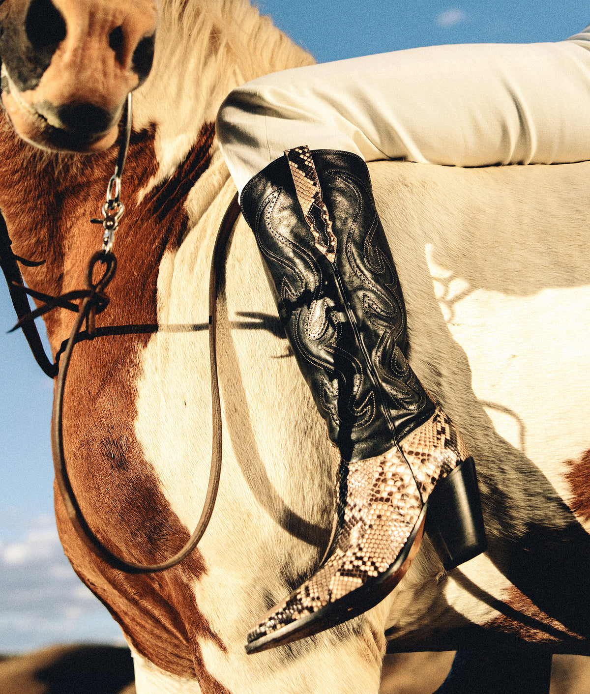 Vittoria :: Black/White 9