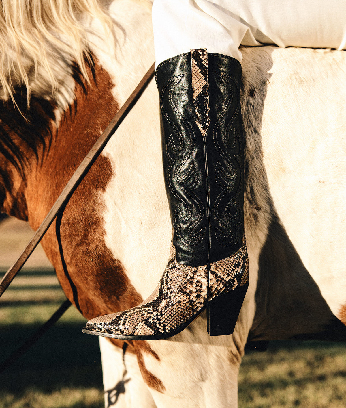 Vittoria :: Black/White 3