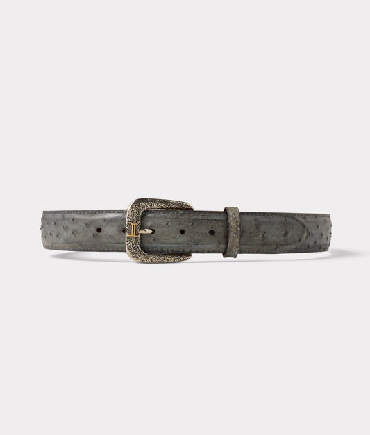 Full Quill Ostrich :: Anthracite Grey