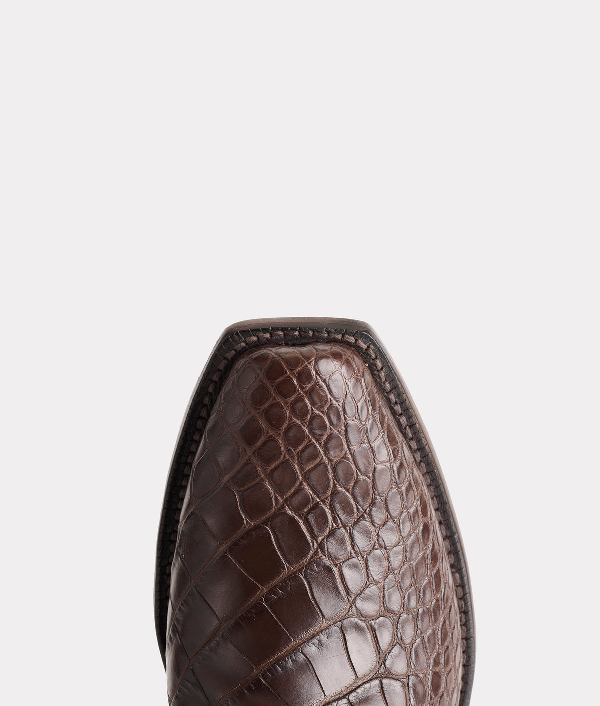 Baron :: Chocolate 8